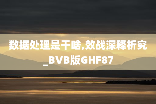 数据处理是干啥,效战深释析究_BVB版GHF87