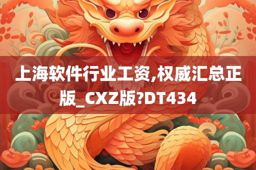 上海软件行业工资,权威汇总正版_CXZ版?DT434