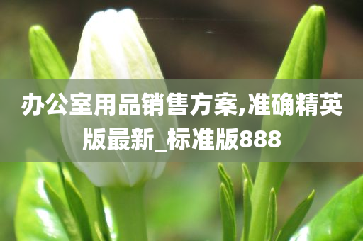 办公室用品销售方案,准确精英版最新_标准版888