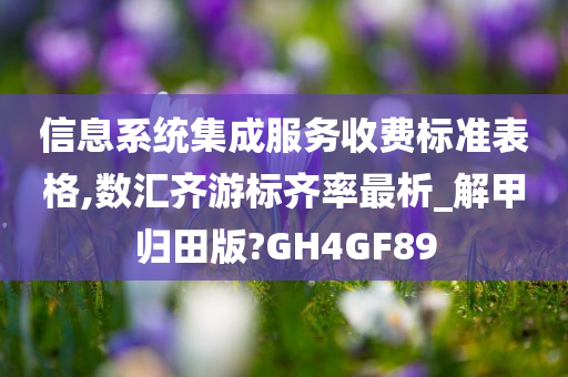 信息系统集成服务收费标准表格,数汇齐游标齐率最析_解甲归田版?GH4GF89