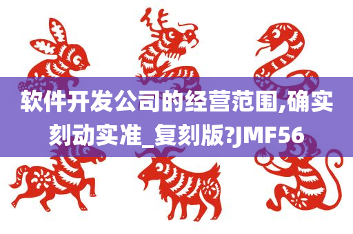 软件开发公司的经营范围,确实刻动实准_复刻版?JMF56