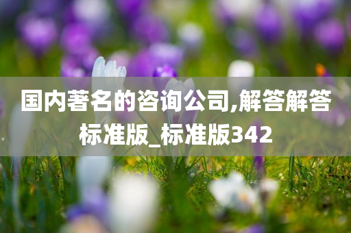 国内著名的咨询公司,解答解答标准版_标准版342