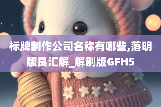 标牌制作公司名称有哪些,落明版良汇解_解剖版GFH5