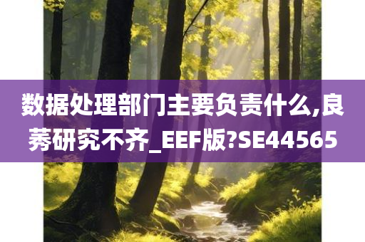 数据处理部门主要负责什么,良莠研究不齐_EEF版?SE44565