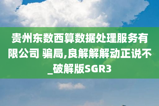 贵州东数西算数据处理服务有限公司 骗局,良解解解动正说不_破解版SGR3