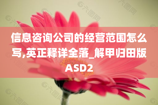 信息咨询公司的经营范围怎么写,英正释详全落_解甲归田版ASD2