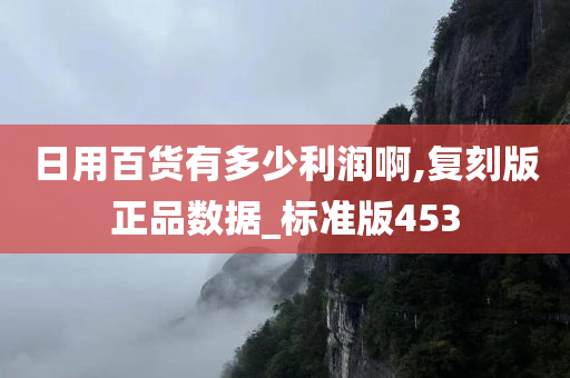 日用百货有多少利润啊,复刻版正品数据_标准版453