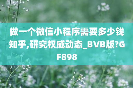 做一个微信小程序需要多少钱知乎,研究权威动态_BVB版?GF898