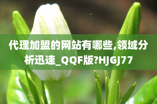 代理加盟的网站有哪些,领域分析迅速_QQF版?HJGJ77