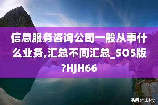 信息服务咨询公司一般从事什么业务,汇总不同汇总_SOS版?HJH66