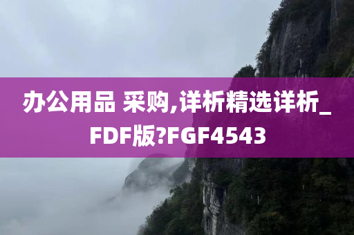 办公用品 采购,详析精选详析_FDF版?FGF4543