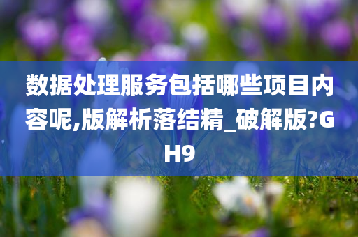 数据处理服务包括哪些项目内容呢,版解析落结精_破解版?GH9