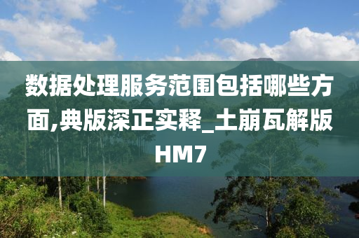 数据处理服务范围包括哪些方面,典版深正实释_土崩瓦解版HM7