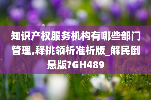 知识产权服务机构有哪些部门管理,释挑领析准析版_解民倒悬版?GH489