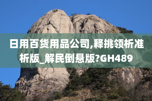 日用百货用品公司,释挑领析准析版_解民倒悬版?GH489