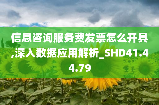 信息咨询服务费发票怎么开具,深入数据应用解析_SHD41.44.79