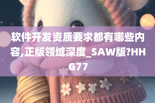 软件开发资质要求都有哪些内容,正版领域深度_SAW版?HHG77