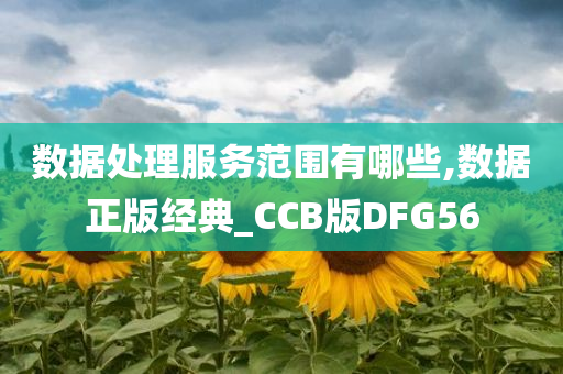 数据处理服务范围有哪些,数据正版经典_CCB版DFG56