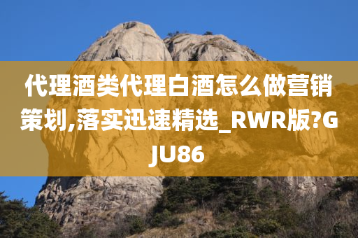 代理酒类代理白酒怎么做营销策划,落实迅速精选_RWR版?GJU86