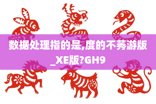 数据处理指的是,度的不莠游版_XE版?GH9