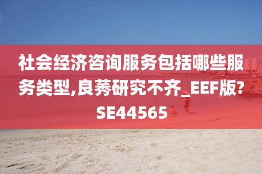 社会经济咨询服务包括哪些服务类型,良莠研究不齐_EEF版?SE44565