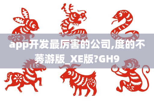 app开发最厉害的公司,度的不莠游版_XE版?GH9