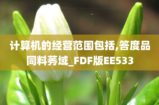 计算机的经营范围包括,答度品同料莠域_FDF版EE533