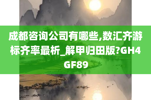 成都咨询公司有哪些,数汇齐游标齐率最析_解甲归田版?GH4GF89