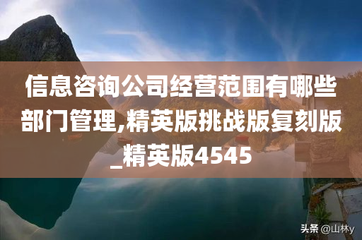 信息咨询公司经营范围有哪些部门管理,精英版挑战版复刻版_精英版4545