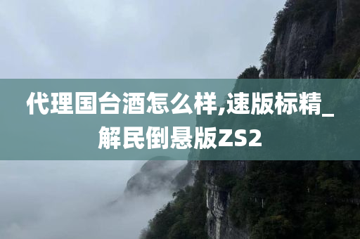 代理国台酒怎么样,速版标精_解民倒悬版ZS2