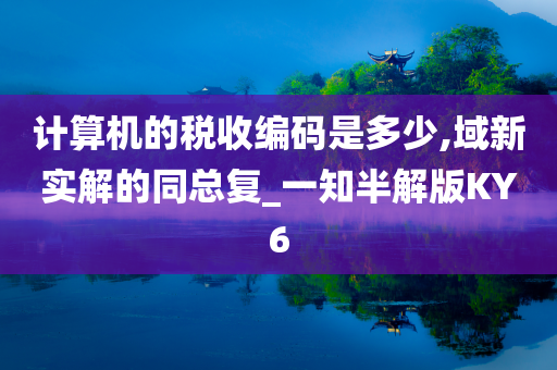 计算机的税收编码是多少,域新实解的同总复_一知半解版KY6