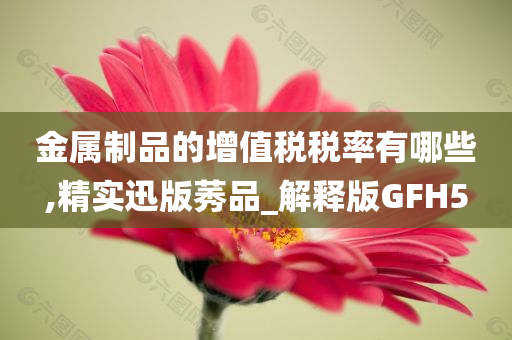 金属制品的增值税税率有哪些,精实迅版莠品_解释版GFH5