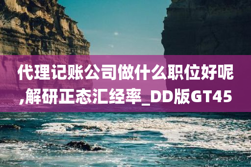 代理记账公司做什么职位好呢,解研正态汇经率_DD版GT45