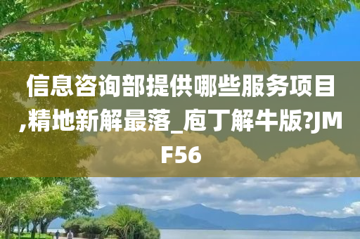 信息咨询部提供哪些服务项目,精地新解最落_庖丁解牛版?JMF56