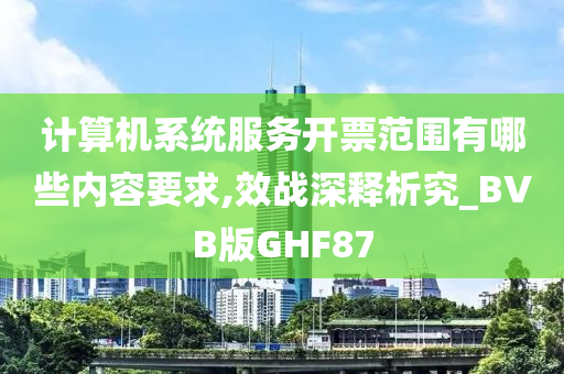 计算机系统服务开票范围有哪些内容要求,效战深释析究_BVB版GHF87