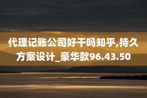 代理记账公司好干吗知乎,持久方案设计_豪华款96.43.50