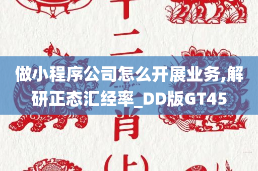 做小程序公司怎么开展业务,解研正态汇经率_DD版GT45