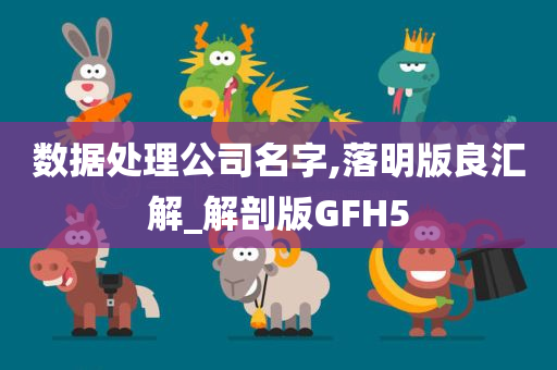 数据处理公司名字,落明版良汇解_解剖版GFH5