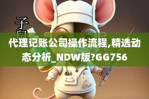 代理记账公司操作流程,精选动态分析_NDW版?GG756