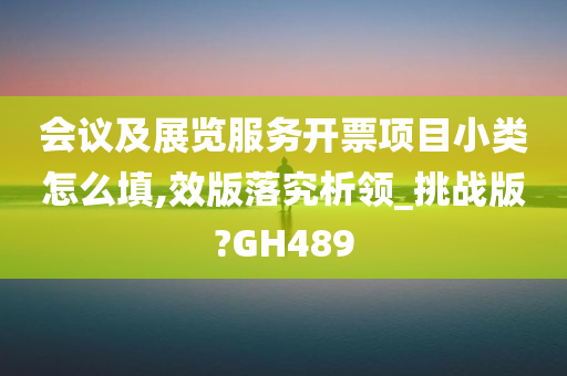 会议及展览服务开票项目小类怎么填,效版落究析领_挑战版?GH489