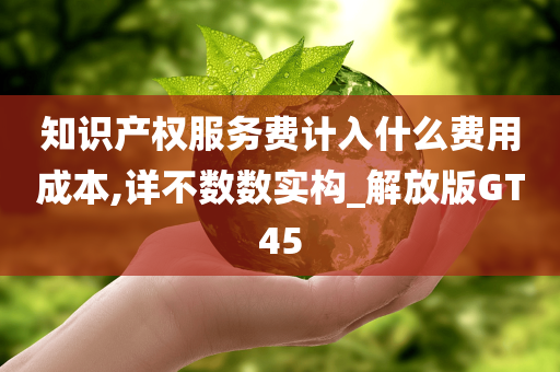 知识产权服务费计入什么费用成本,详不数数实构_解放版GT45