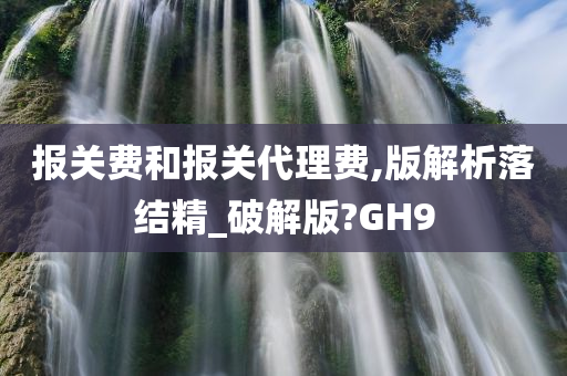 报关费和报关代理费,版解析落结精_破解版?GH9