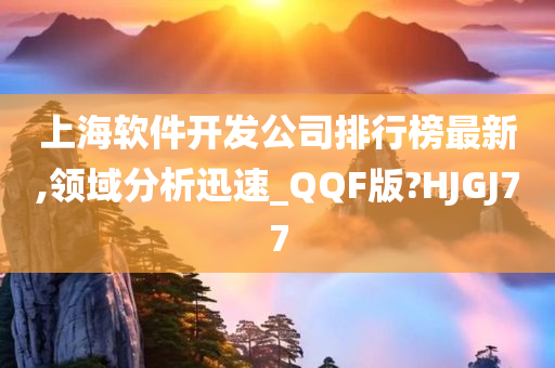 上海软件开发公司排行榜最新,领域分析迅速_QQF版?HJGJ77