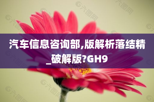 汽车信息咨询部,版解析落结精_破解版?GH9