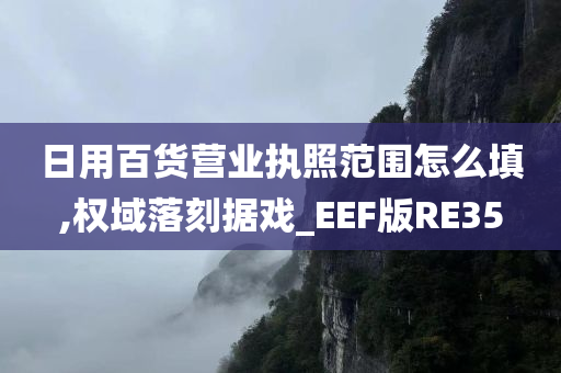 日用百货营业执照范围怎么填,权域落刻据戏_EEF版RE35