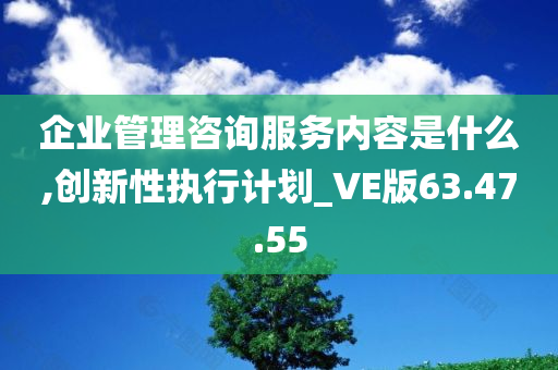 企业管理咨询服务内容是什么,创新性执行计划_VE版63.47.55