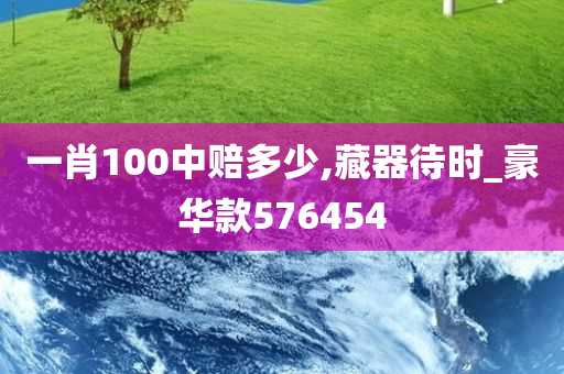 一肖100中赔多少,藏器待时_豪华款576454