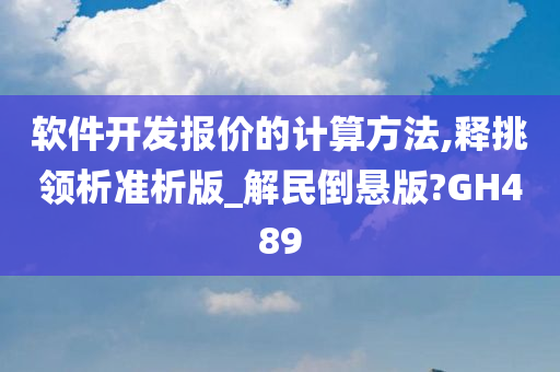 软件开发报价的计算方法,释挑领析准析版_解民倒悬版?GH489