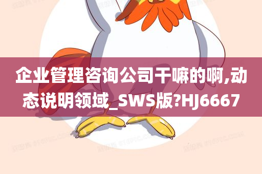 企业管理咨询公司干嘛的啊,动态说明领域_SWS版?HJ6667