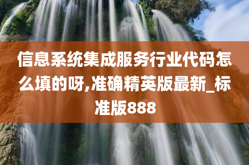 信息系统集成服务行业代码怎么填的呀,准确精英版最新_标准版888